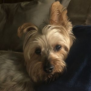 Meet your Posher, Walter